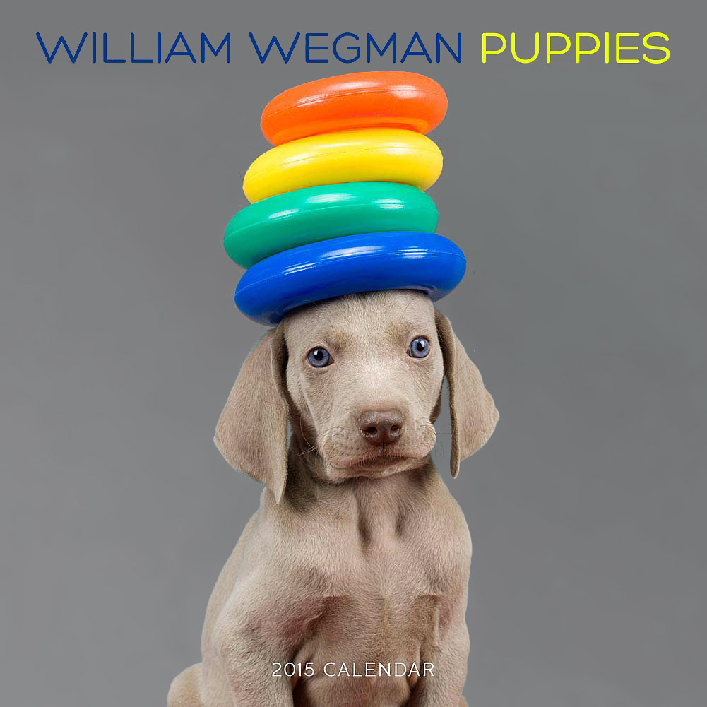Календарь 2015 (на скрепке). William Wegman Puppies William Wegman купить читать скачать онлайн - BookMix.ru