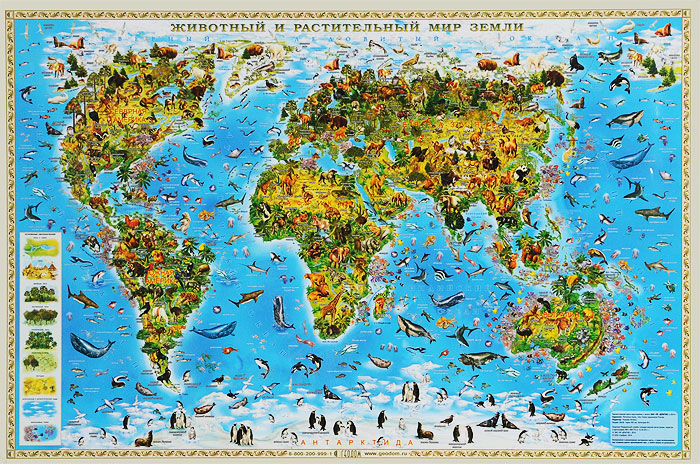 Животный и растительный мир Земли. Настенная ламинированная карта