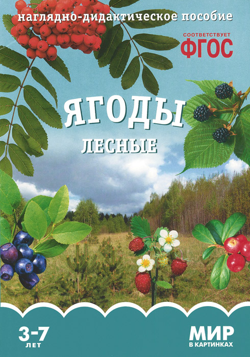 Ягоды лесные. Наглядно-дидактическое пособие. 3-7 лет12296407 Ягоды лесные. Наглядно-дидактическое пособие. 3-7 лет12296407Серия наглядно-дидактических пособий Мир в картинках предназначена для групповых и индивидуальных занятий с детьми 3-7 лет в детском саду и дома. Каждый выпуск содержит материал по отдельной теме: овощи, фрукты, животные, птицы, транспорт, космос, профессии и так далее. На оборотной стороне карточек содержатся познавательные сведения, которые будут интересны и детям, и взрослым. Прочитав описание, взрослый сможет пересказать его в той форме и том объеме, которые соответствуют возрасту и уровню развития детей. Наглядный материал может быть использован на занятиях по ознакомлению с окружающим миром, для развития речи и мышления.