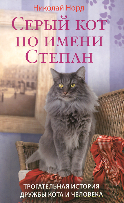 Серый кот по имени Степан. Трогательная история дружбы кота и человека