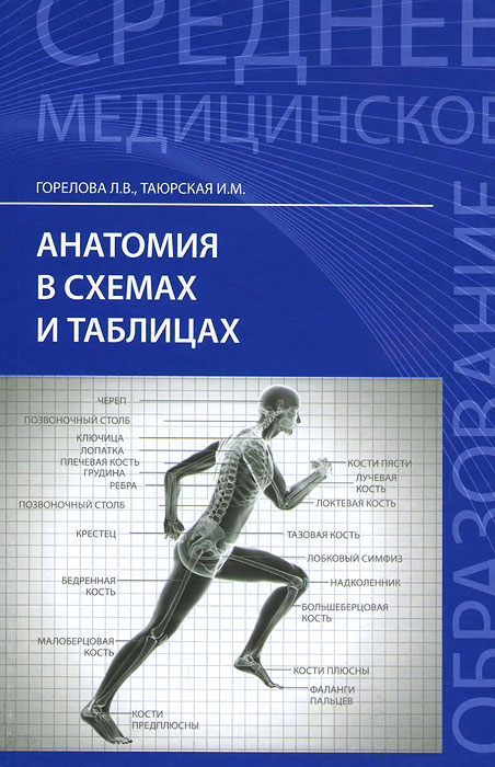 Анатомия в схемах и таблицах. Учебное пособие