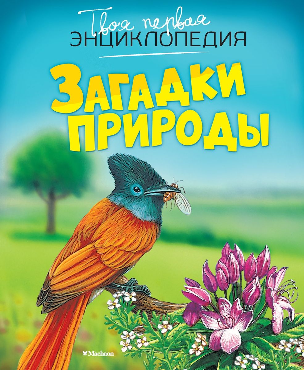   -  , - 12296407      ,           , ,   ,    ,     ,       - .   ,            .