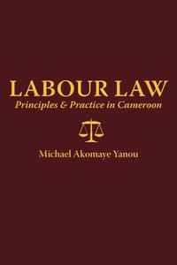 Labour Law Michael A. Yanou купить читать скачать онлайн - BookMix.ru