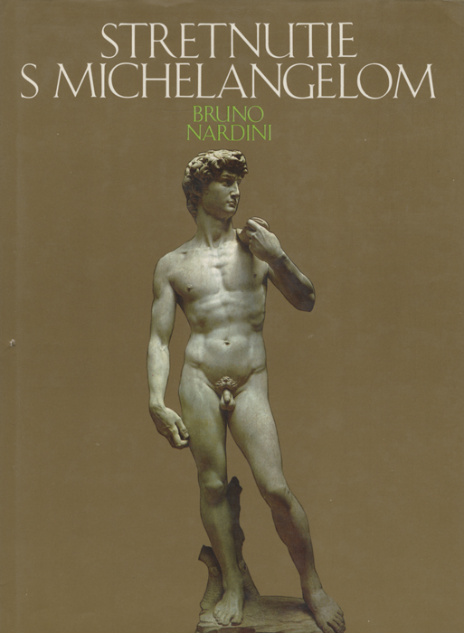 Stretnutie s Michelangelom