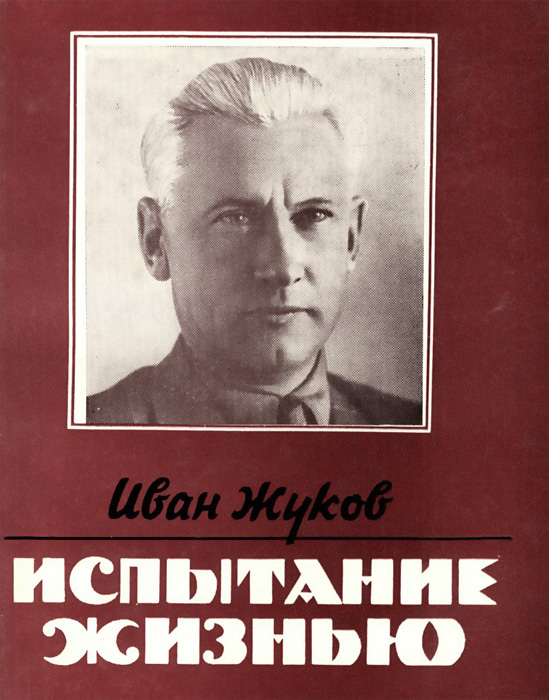 Испытание жизнью