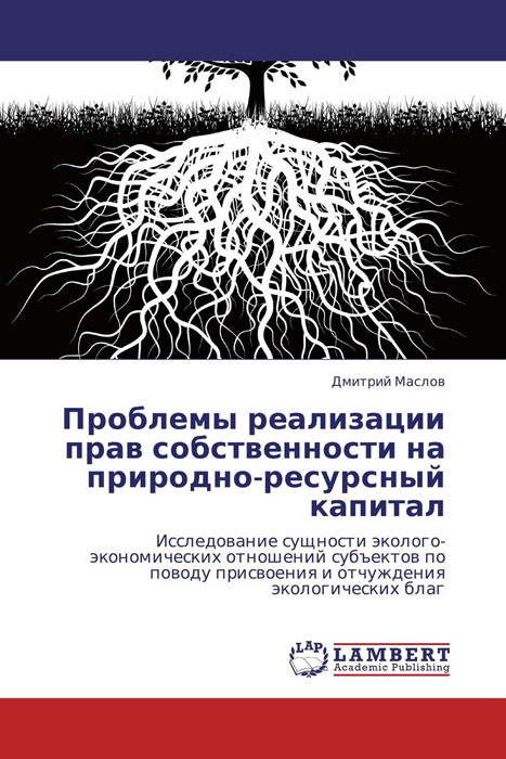 Проблемы реализации прав собственности на природно-ресурсный капитал