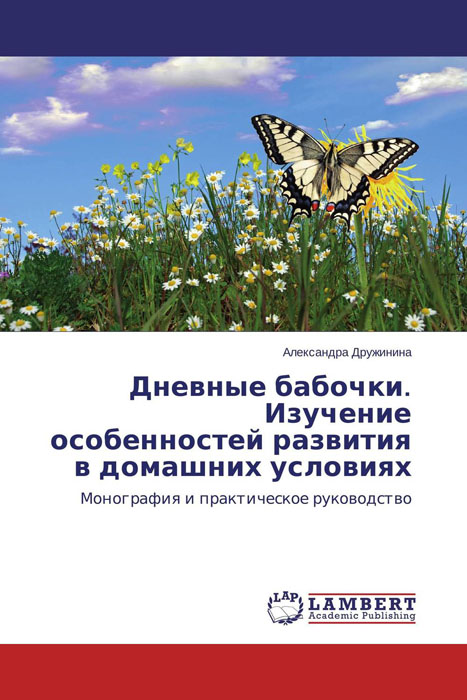 Дневные бабочки. Изучение особенностей развития в домашних условиях