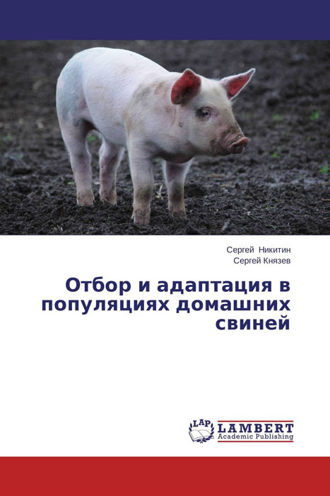 Отбор и адаптация в популяциях домашних свиней