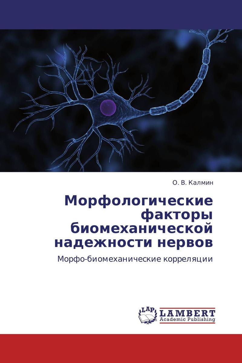 Морфологические факторы биомеханической надежности нервов