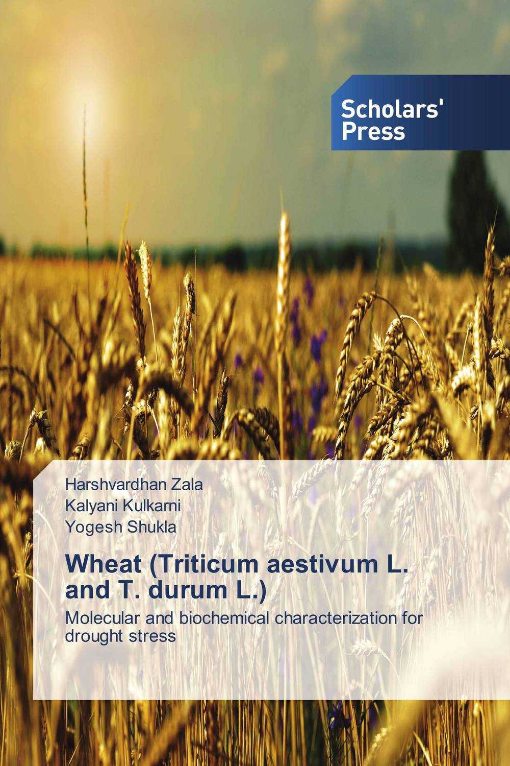 Wheat (Triticum aestivum L. and T. durum L.)