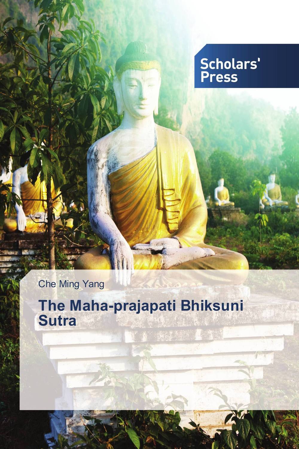 The Maha-prajapati Bhiksuni Sutra