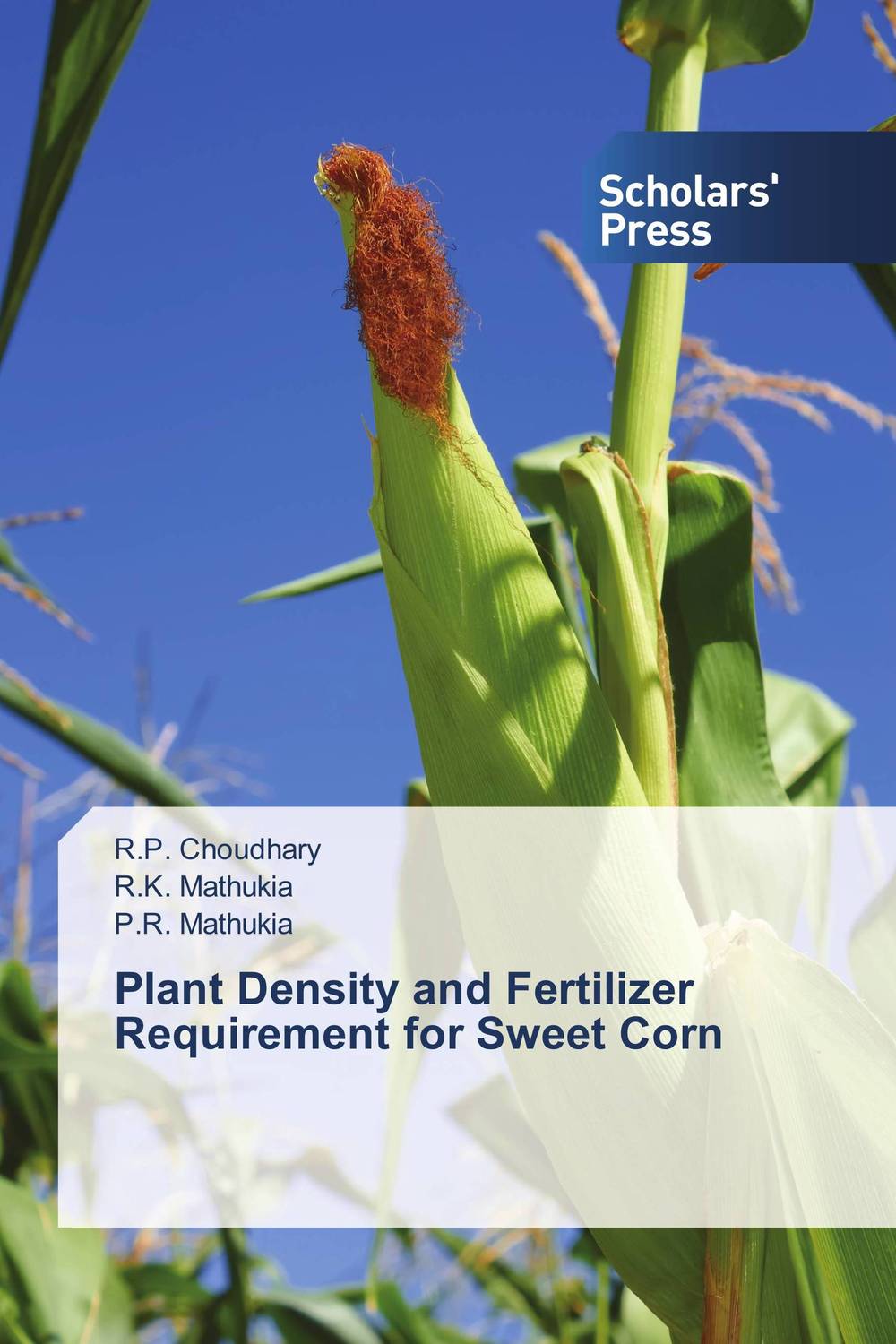 Plant Density and Fertilizer Requirement for Sweet Corn