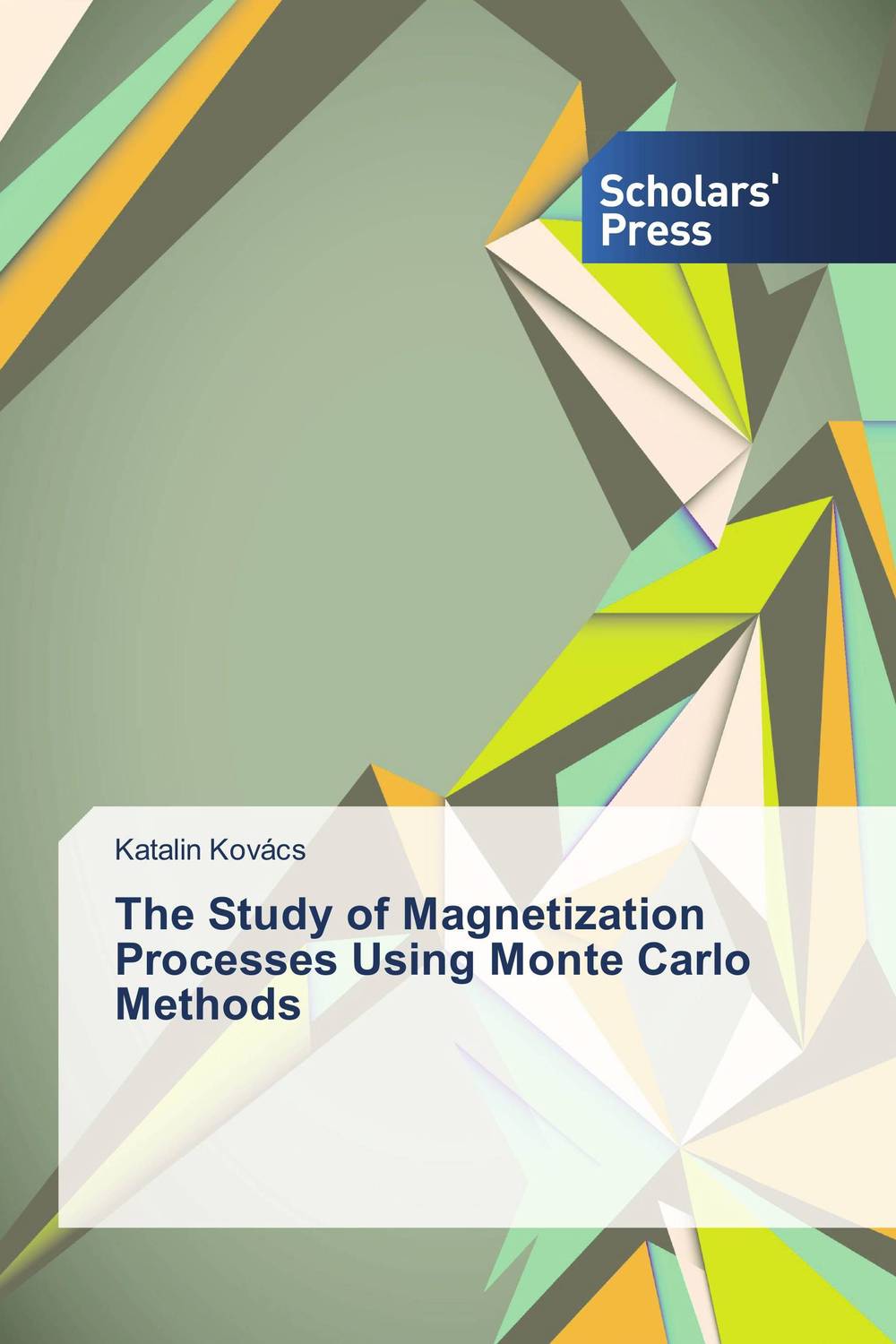 The Study of Magnetization Processes Using Monte Carlo Methods