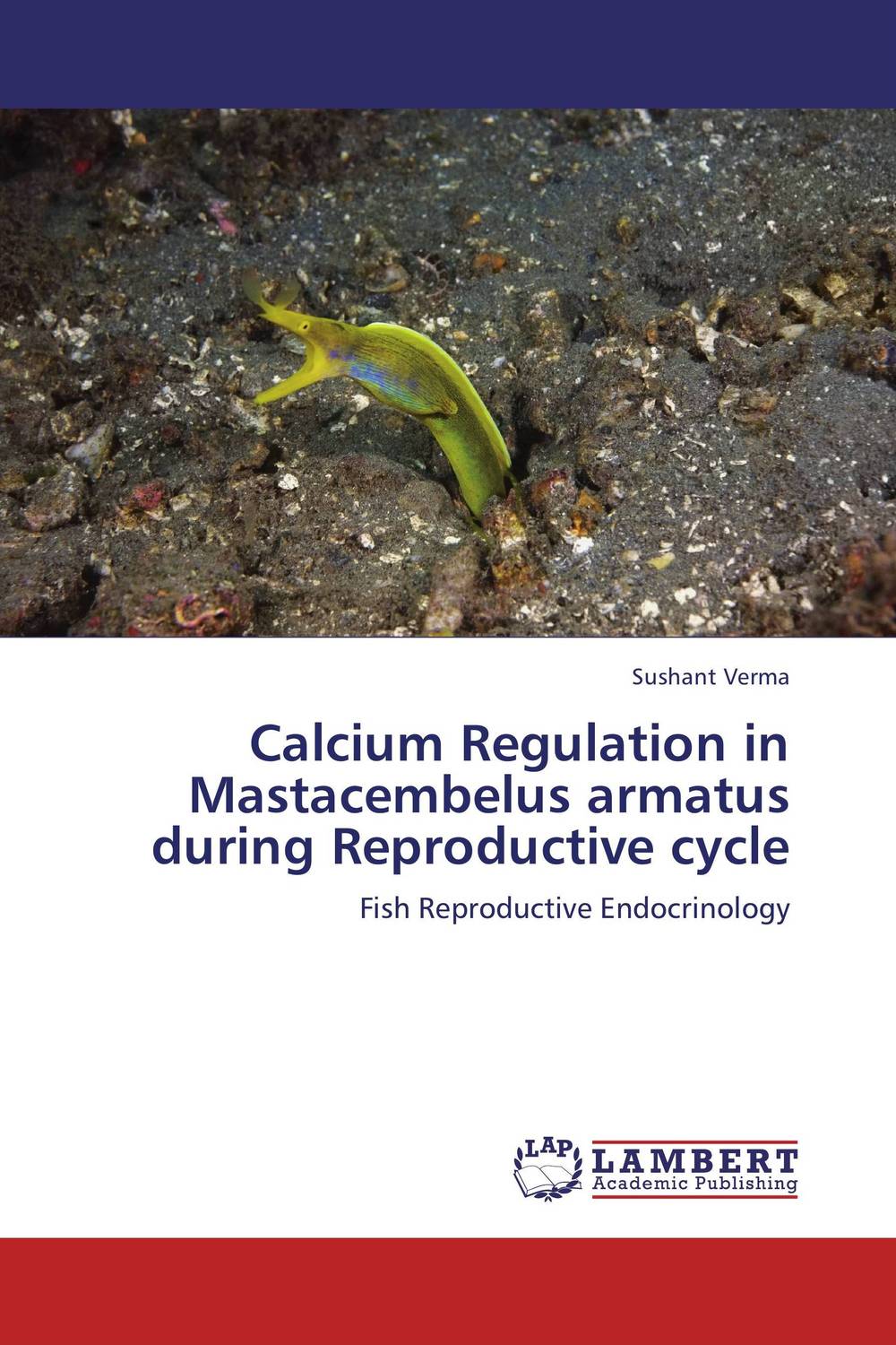 Calcium Regulation in Mastacembelus armatus during Reproductive cycle