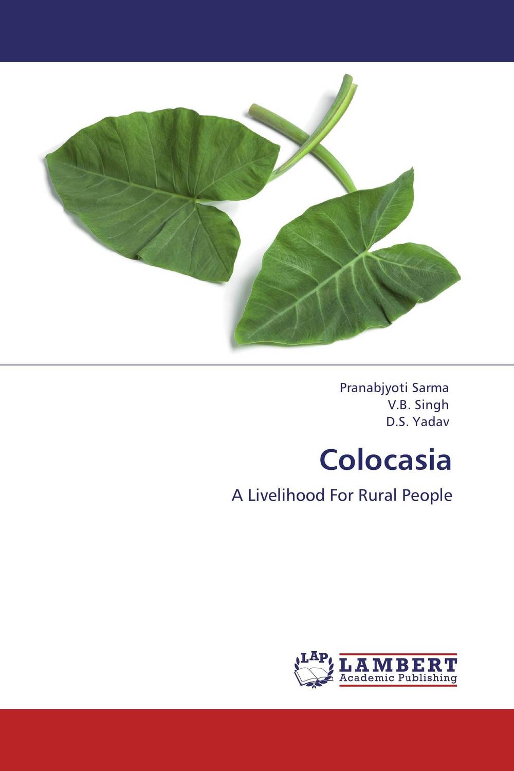 Colocasia