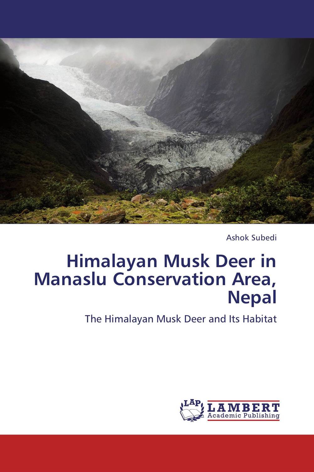 Himalayan Musk Deer in Manaslu Conservation Area, Nepal