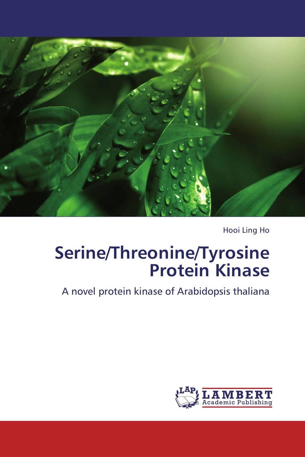 Serine/Threonine/Tyrosine Protein Kinase