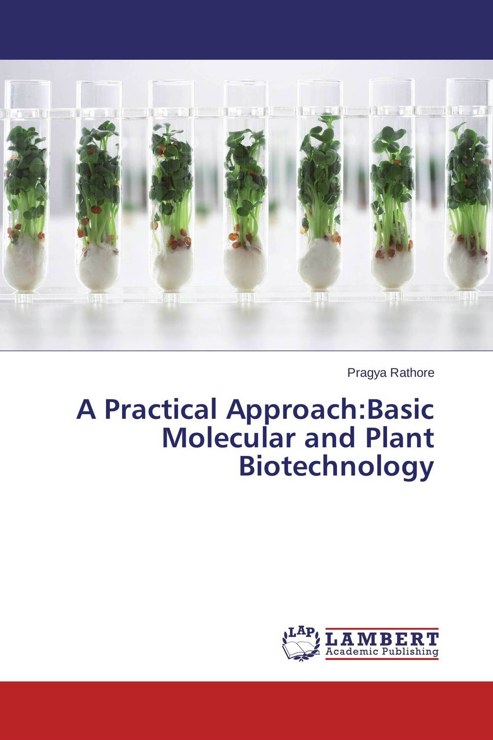 A Practical Approach:Basic Molecular and Plant Biotechnology