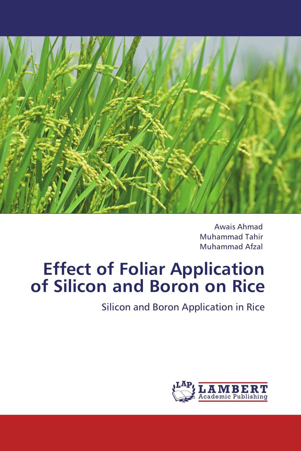 Effect of Foliar Application of Silicon and Boron on Rice