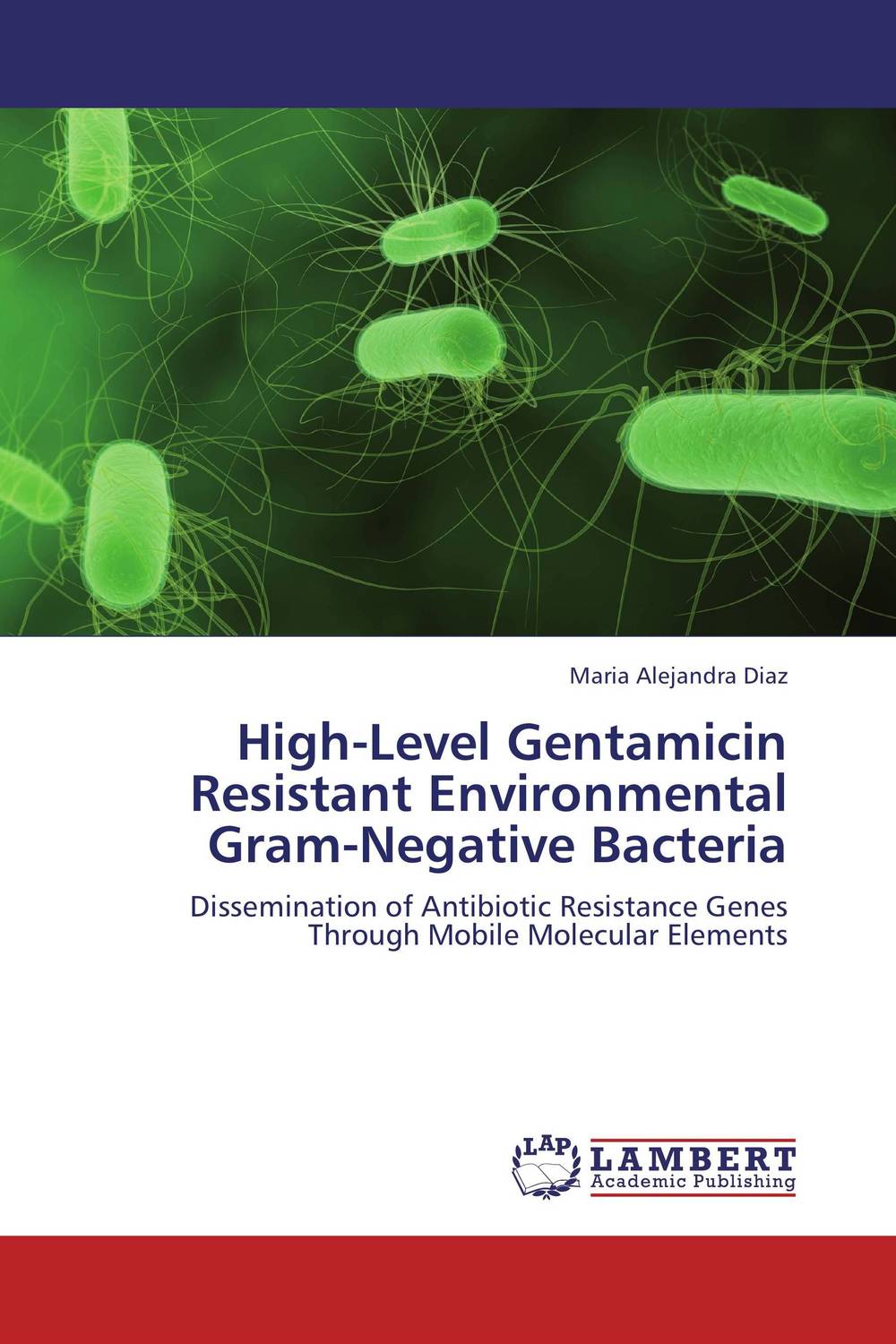 High-Level Gentamicin Resistant Environmental Gram-Negative Bacteria