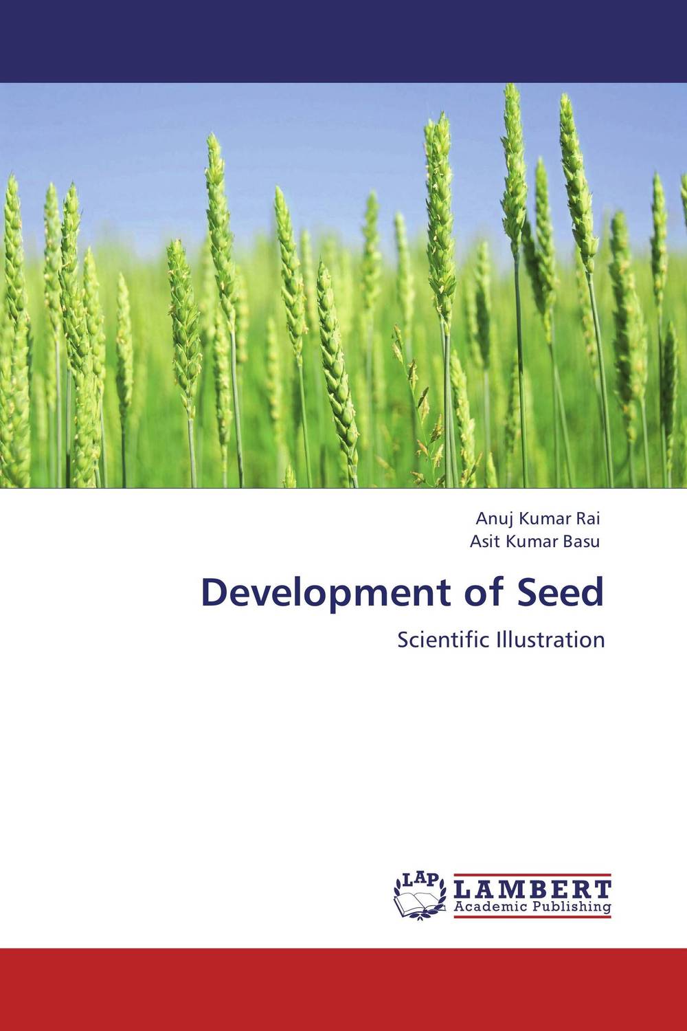 Development of Seed