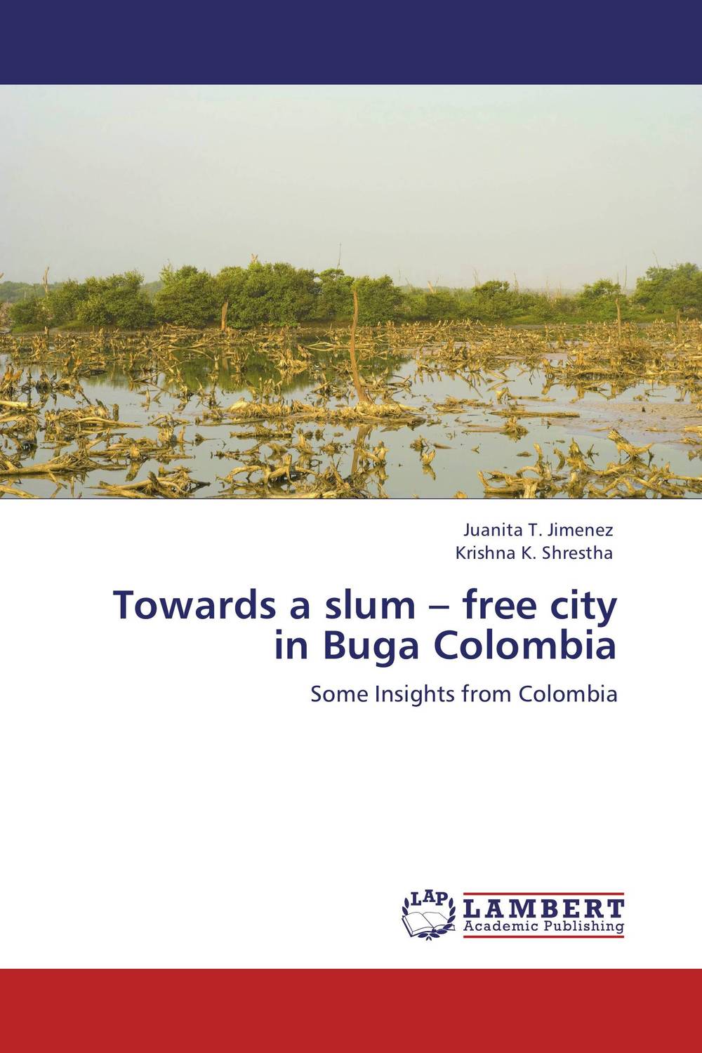 Towards a slum – free city in Buga Colombia