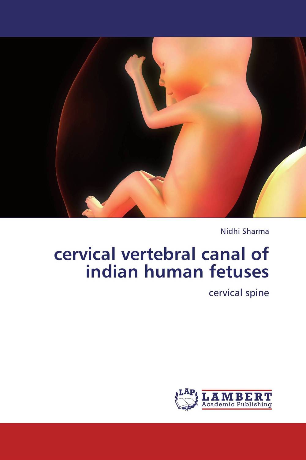 cervical vertebral canal of indian human fetuses