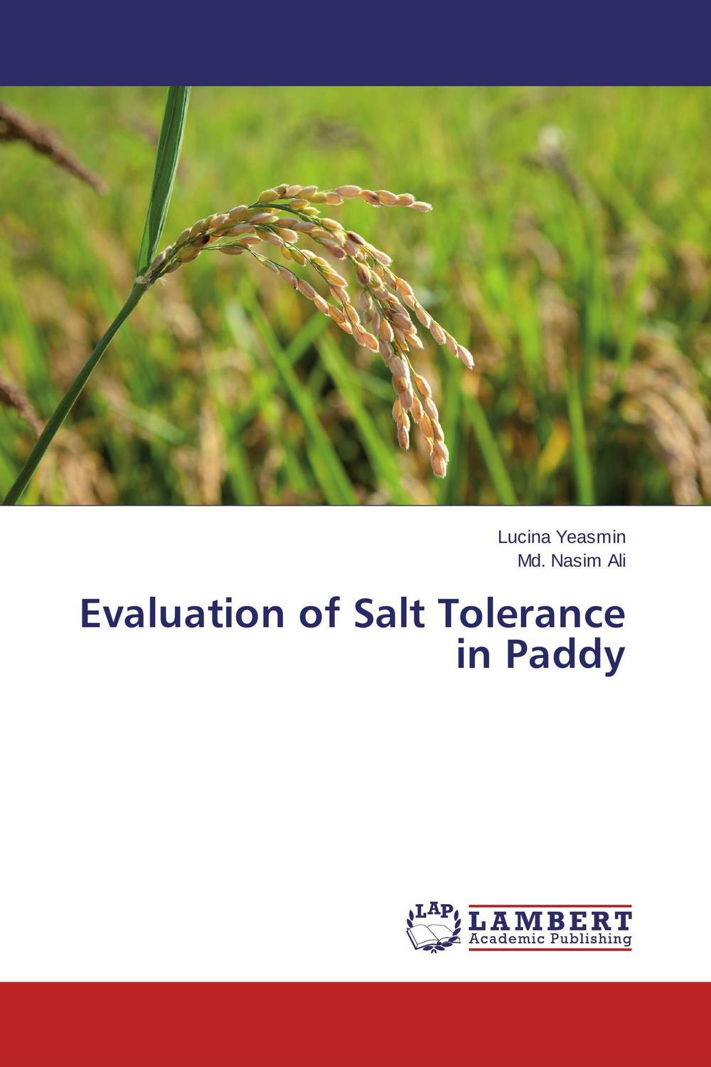 Evaluation of Salt Tolerance in Paddy