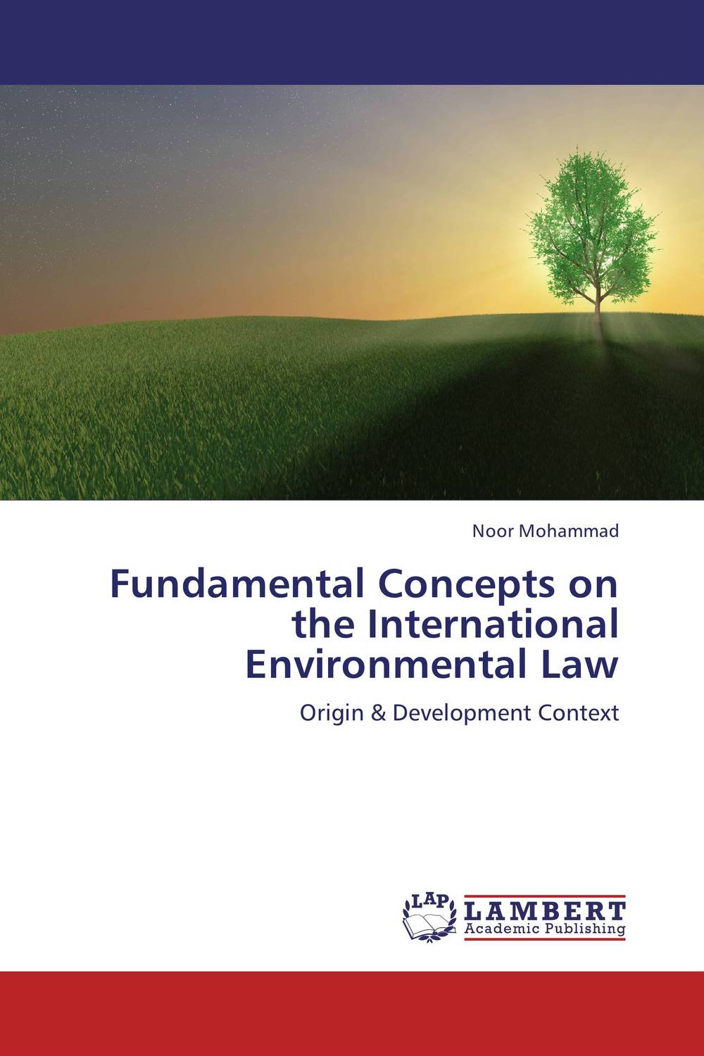 Fundamental Concepts on the International Environmental Law