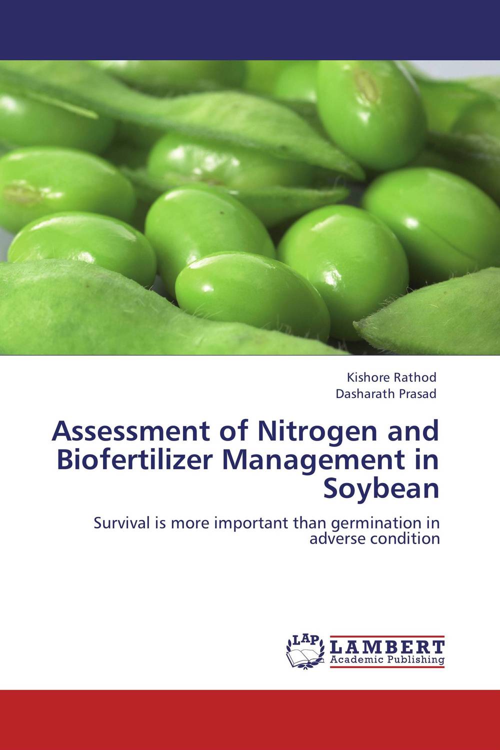 Assessment of Nitrogen and Biofertilizer Management in Soybean