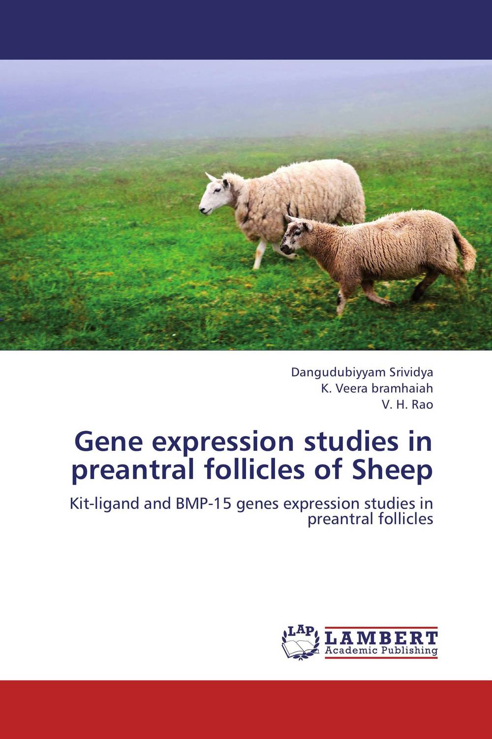 Gene expression studies in preantral follicles of Sheep