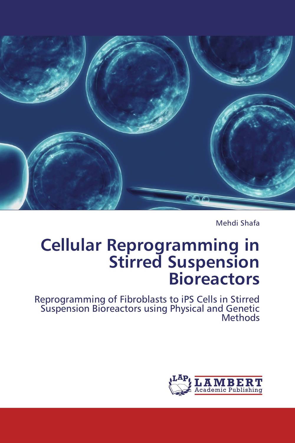 Cellular Reprogramming in Stirred Suspension Bioreactors