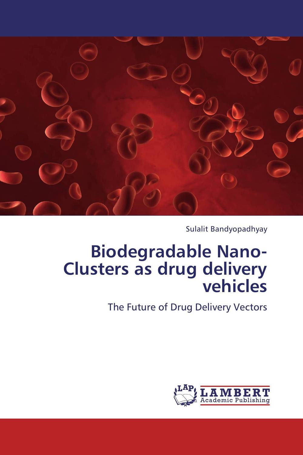 Biodegradable Nano-Clusters as drug delivery vehicles