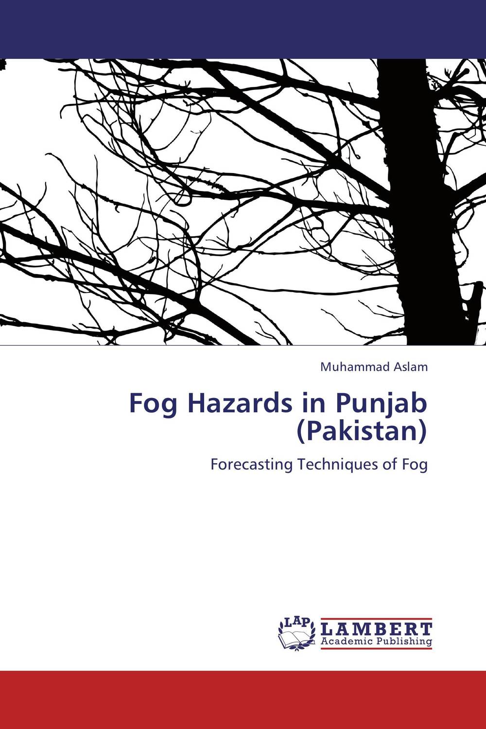 Fog Hazards in Punjab (Pakistan)