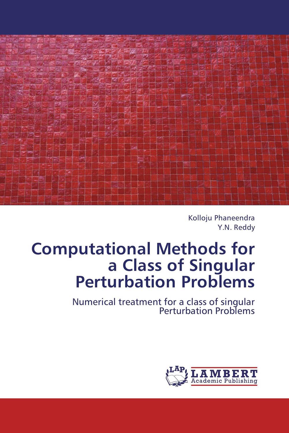 Computational Methods for a Class of Singular Perturbation Problems