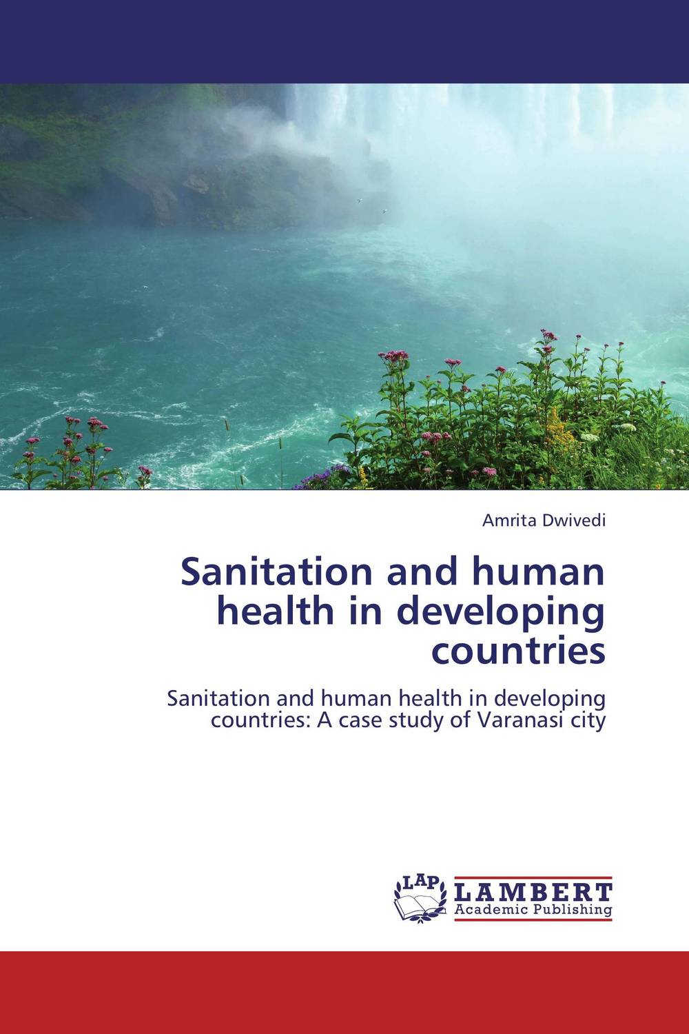 Sanitation and human health in developing countries