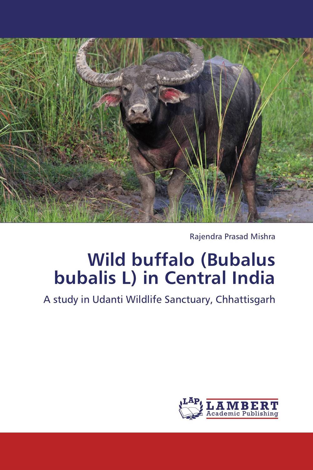 Wild buffalo (Bubalus bubalis L) in Central India