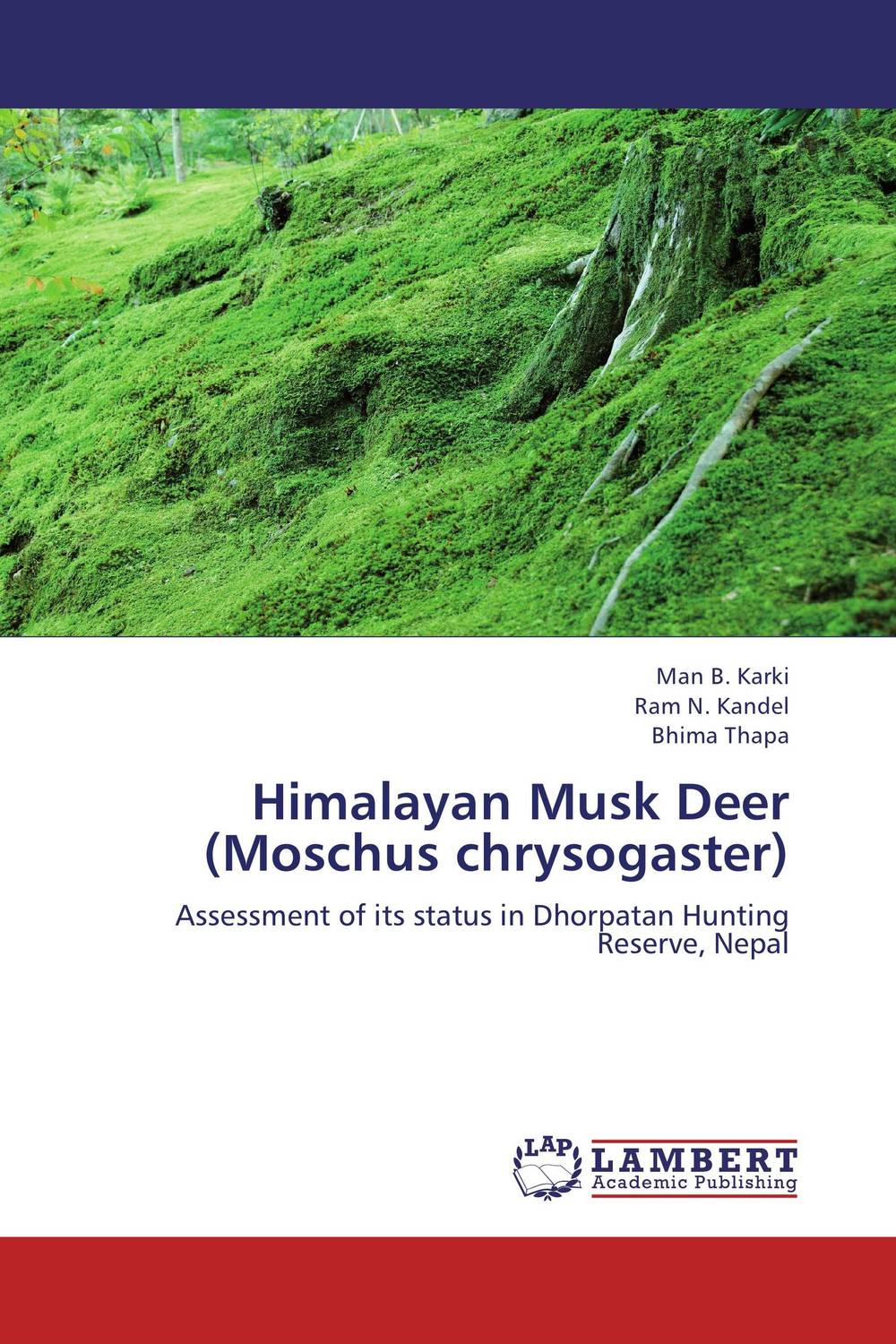 Himalayan Musk Deer (Moschus chrysogaster)
