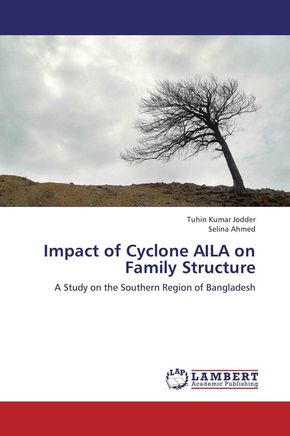 Impact of Cyclone AILA on Family Structure