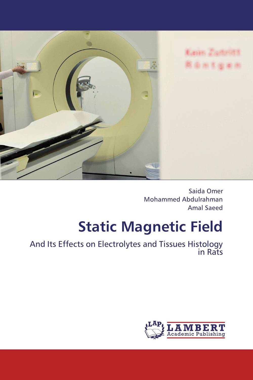 Static Magnetic Field