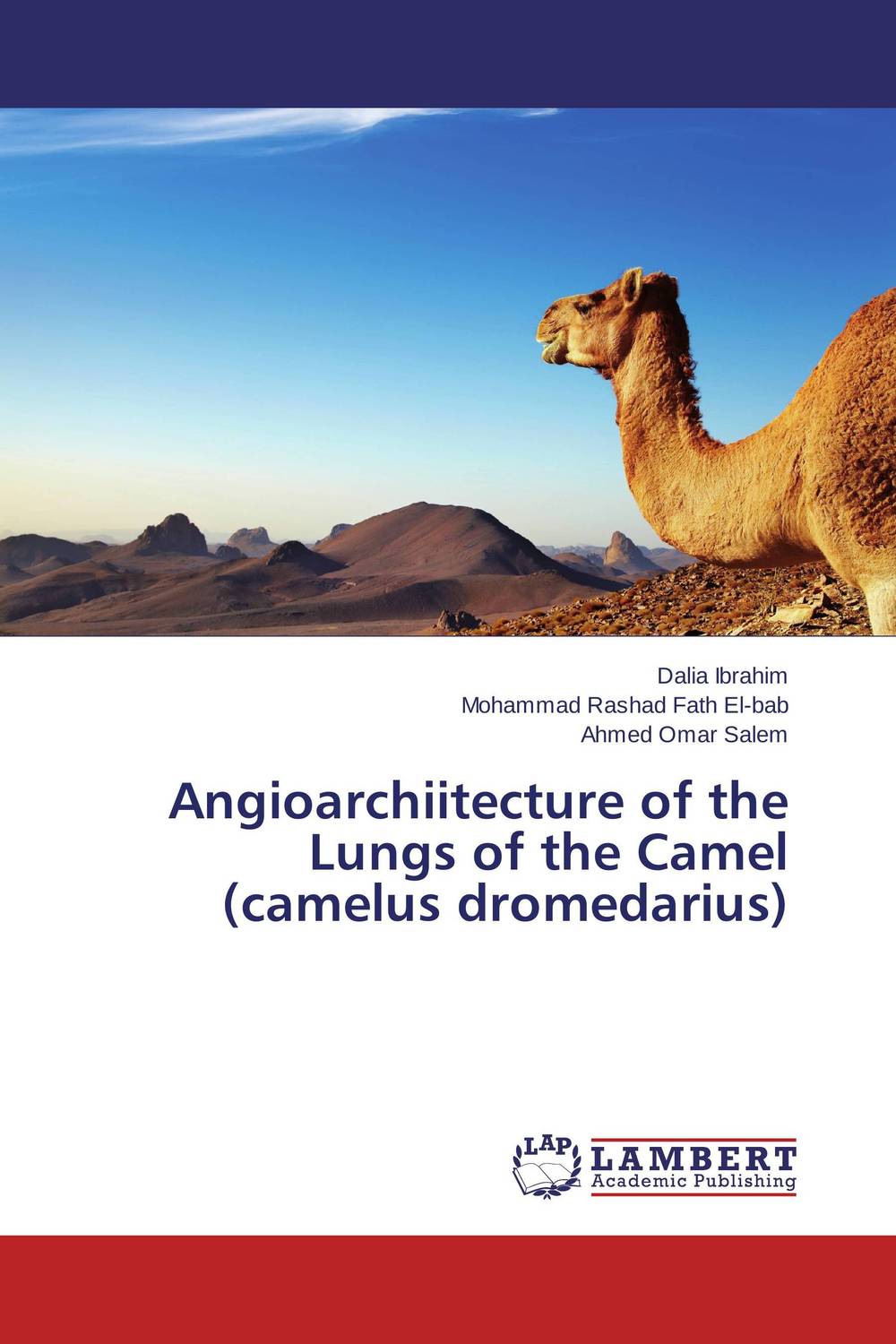 Angioarchiitecture of the Lungs of the Camel (camelus dromedarius)