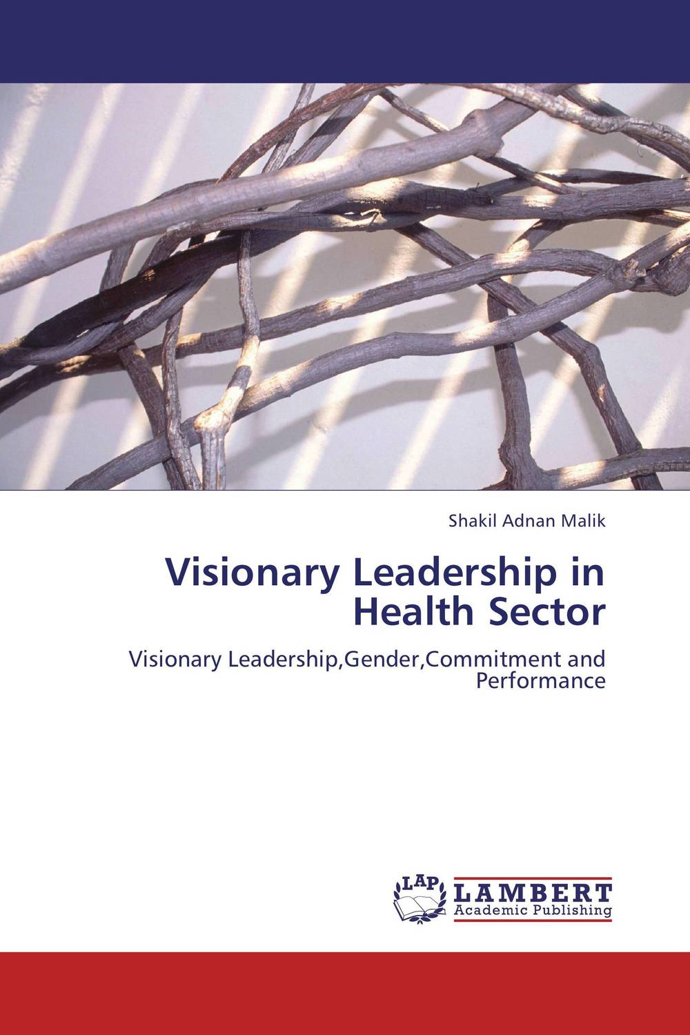 Visionary Leadership in Health Sector