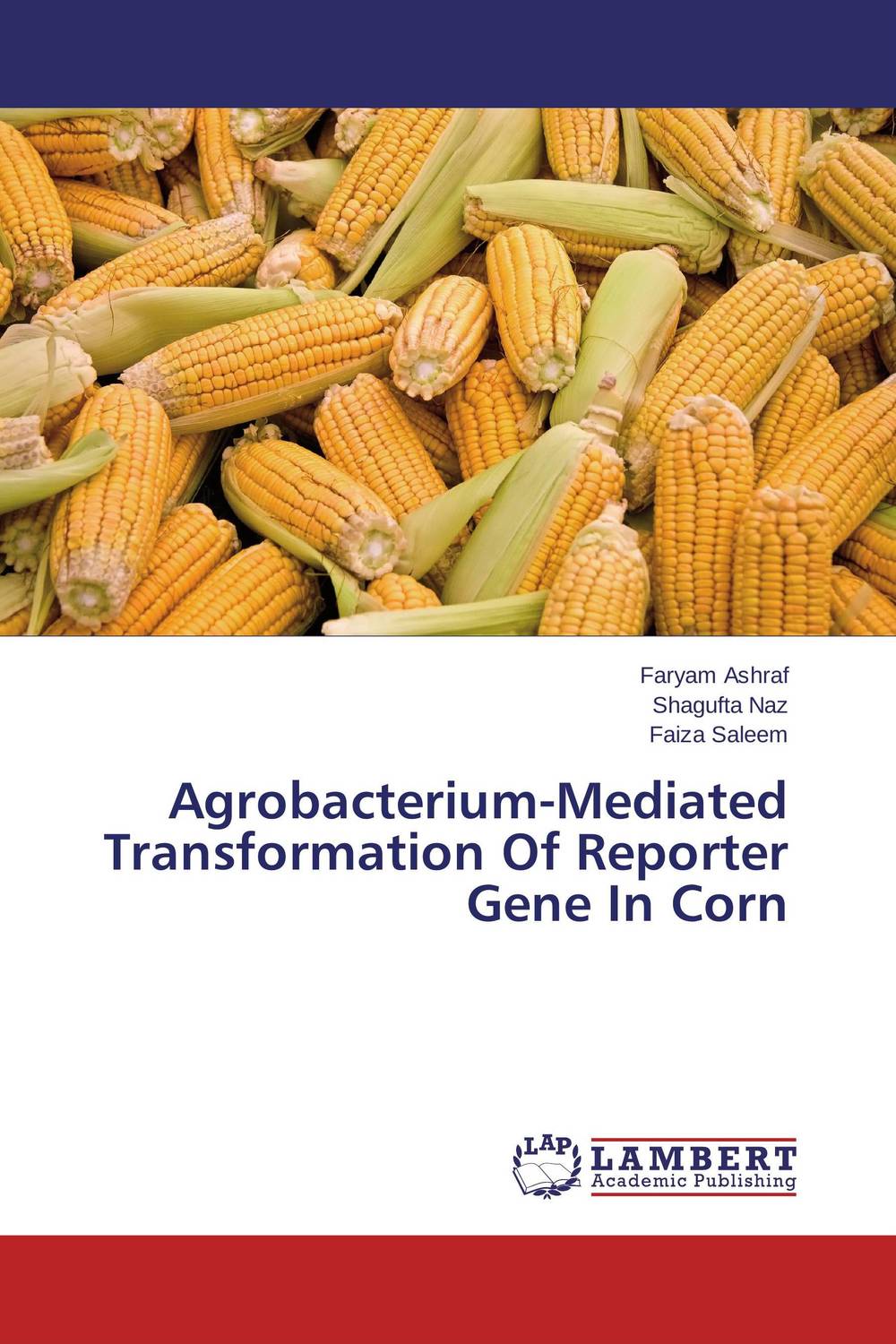 Agrobacterium-Mediated Transformation Of Reporter Gene In Corn