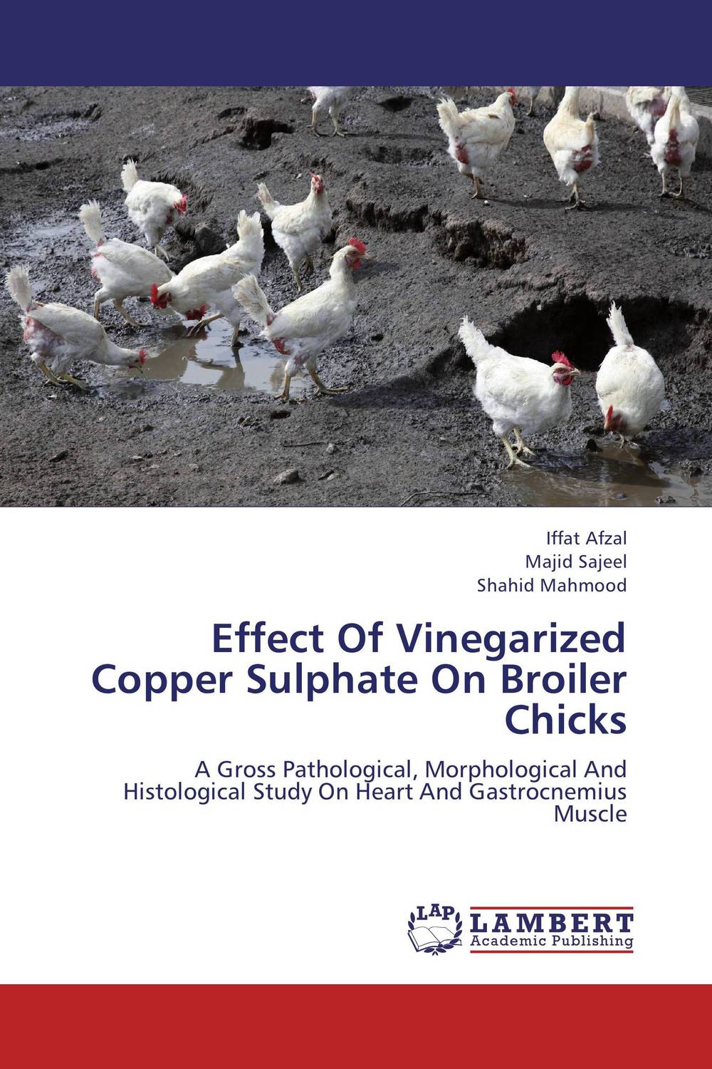 Effect Of Vinegarized Copper Sulphate On Broiler Chicks