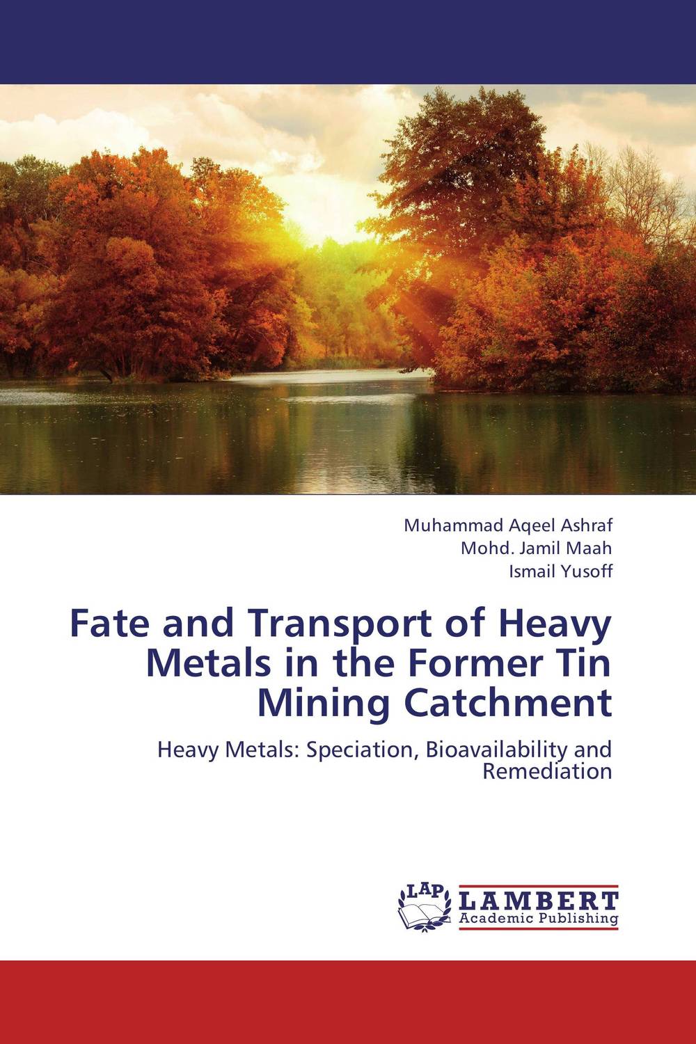 Fate and Transport of Heavy Metals in the Former Tin Mining Catchment