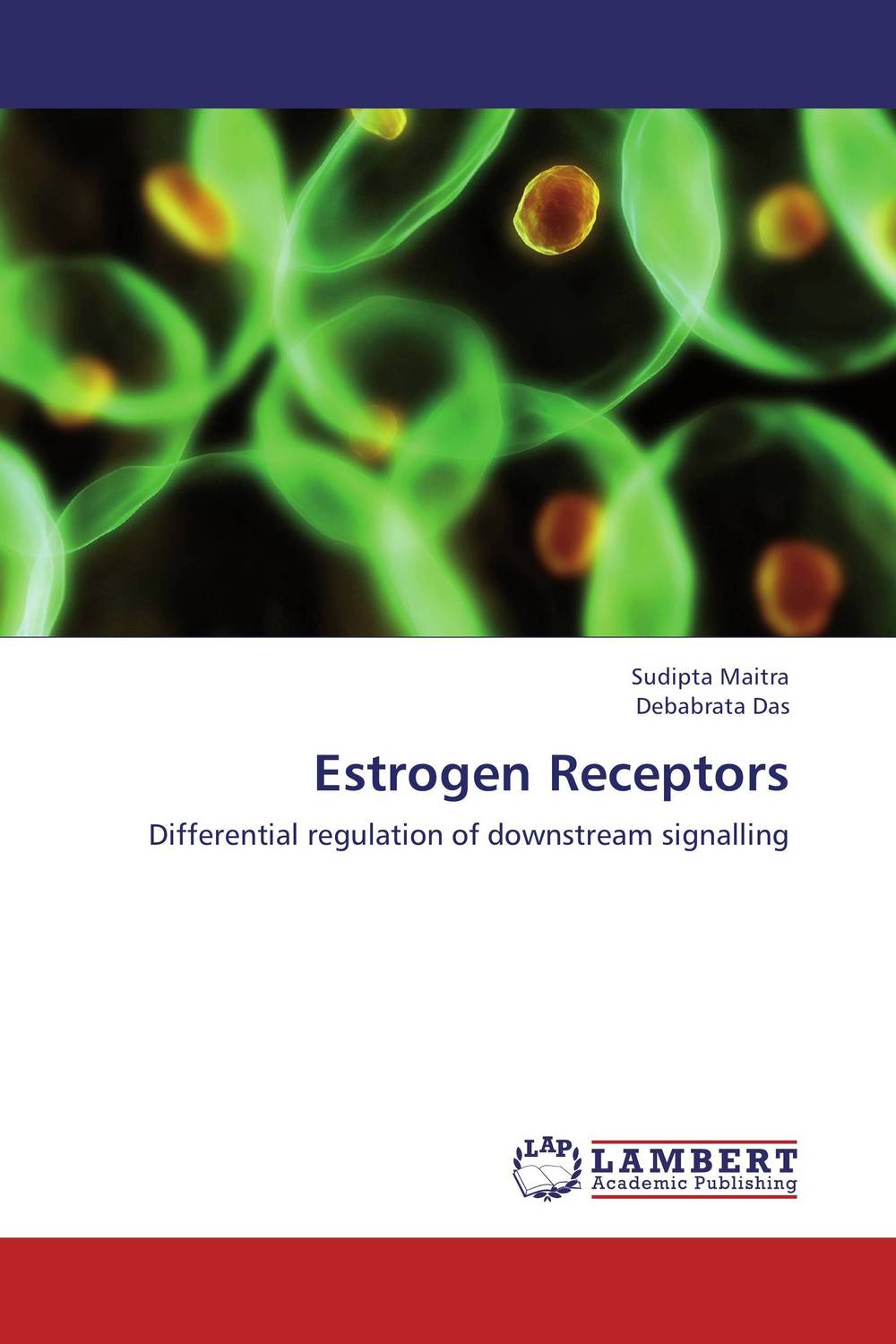 Estrogen Receptors