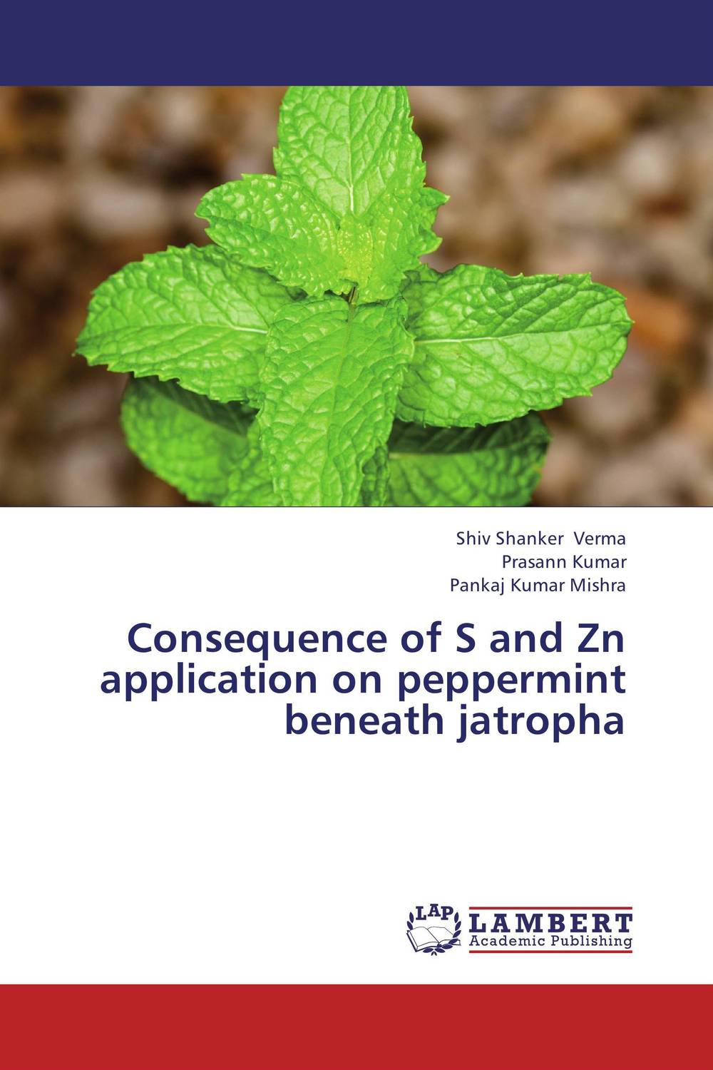 Consequence of S and Zn application on peppermint beneath jatropha