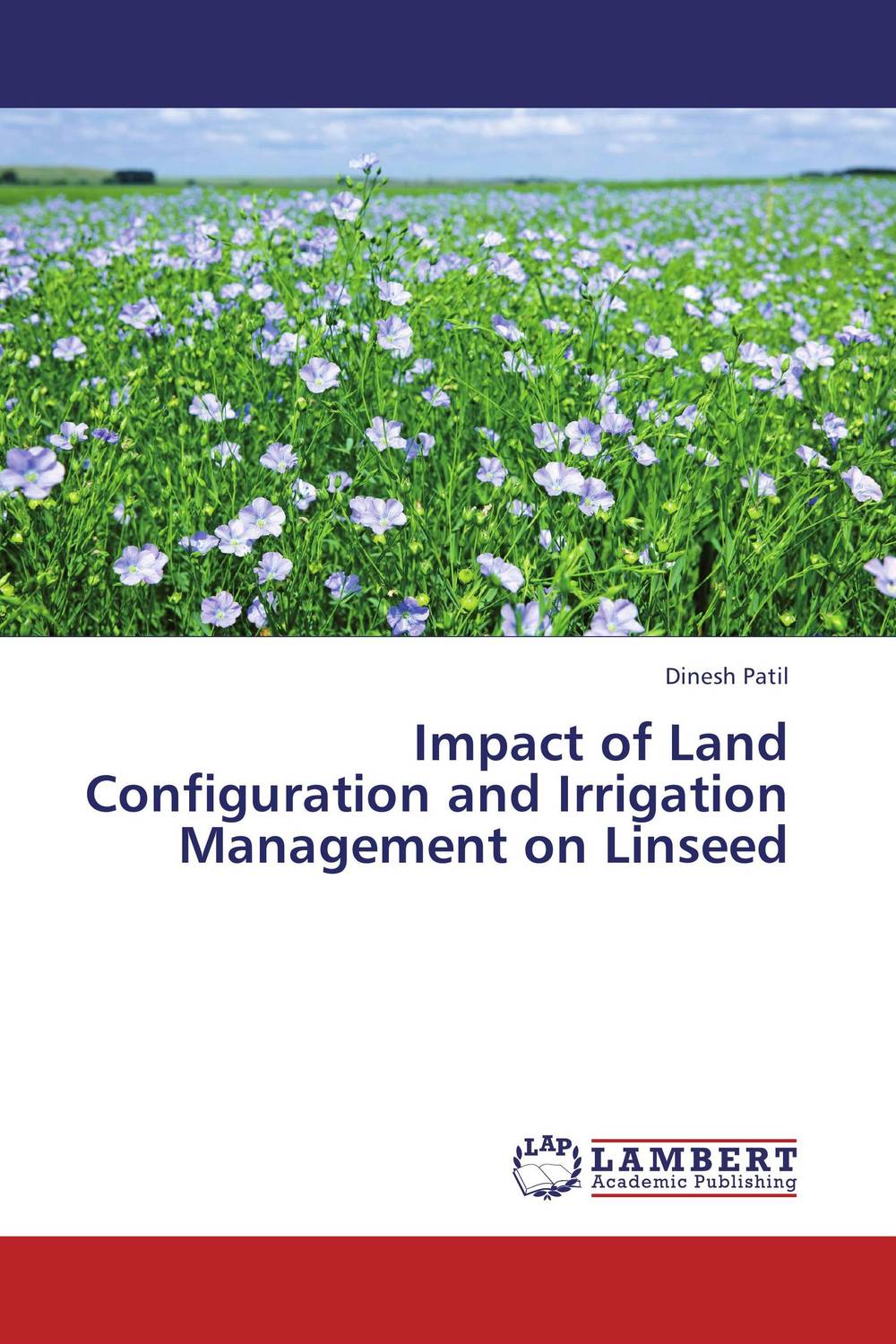 Impact of Land Configuration and Irrigation Management on Linseed