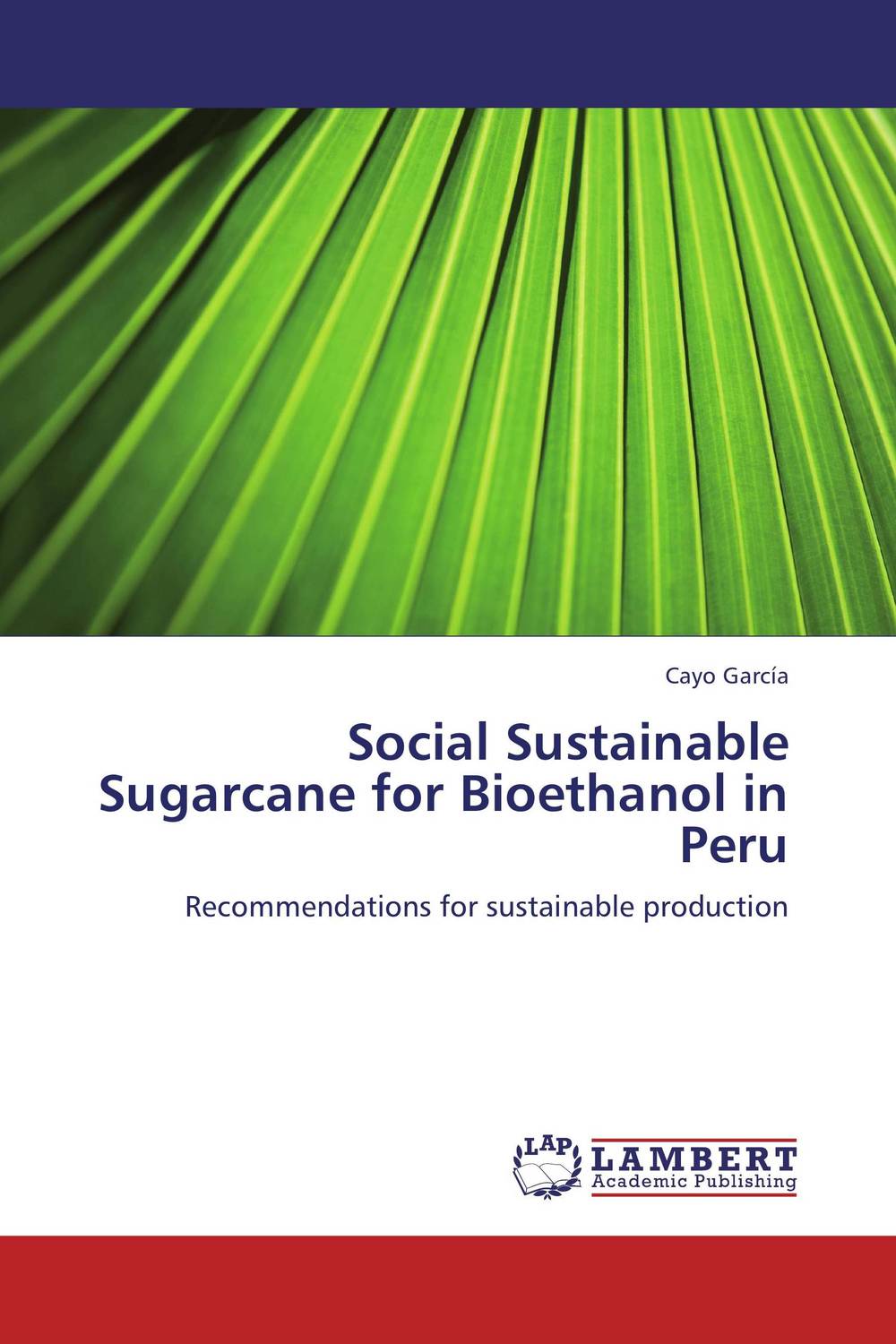 Social Sustainable Sugarcane for Bioethanol in Peru