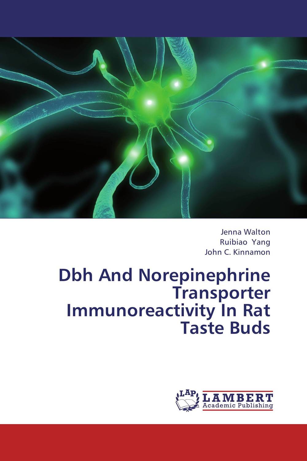Dbh And Norepinephrine Transporter Immunoreactivity In Rat Taste Buds